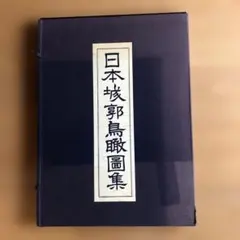 DVD 夢をかなえた洗脳力 苫米地英人 DVD 夢をかなえた洗脳力 苫米地英人 - メルカリ