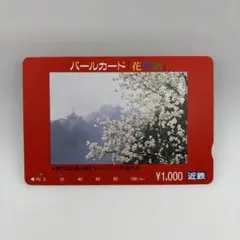 2026年最新】近鉄パールカードの人気アイテム - メルカリ