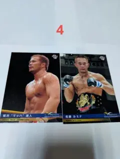 UFC　元王者　イリー・プロハースカ　サインカード UFC イリー・プロハースカ カード - メルカリ