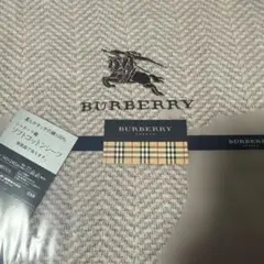 Item thumbnail for item 4ef682b5-4dd1-4152-9ca0-76c118b5fe0a