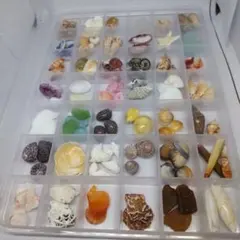 シーグラスと貝殻セット 約42種入り