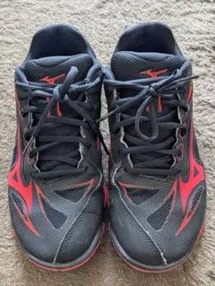 Item thumbnail for item 9f71c13e-c705-4a13-8756-aefe0fda729d