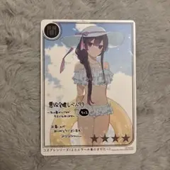 悪役令嬢レベル99 2 アニメイト特典