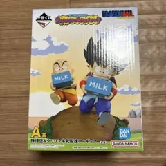 Item thumbnail for item 908b4cf1-8e48-40b7-abf0-dc7129290c73