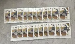 七海建人 ぱしゃこれ まとめ売り