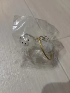 うちの子のけだまだま　ポメラニアン