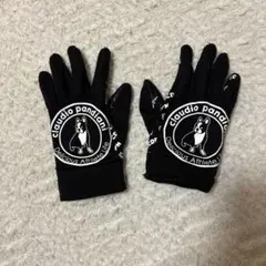 claudio pandiani & CDPN 手袋 セット サッカージャンキー