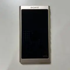 【ケース付き】SONY ウォークマン NW-A50Series 【充電器なし】 NW-A50シリーズ | ポータブルオーディオプレーヤー WALKMAN