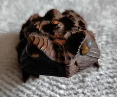 Item thumbnail for item 546a2fef-ce82-4aec-be8a-6b98ea19d04b