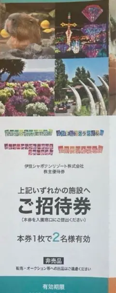 2025年最新】伊豆 シャボテン 公園 株主優待の人気アイテム