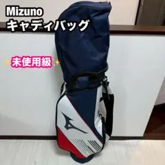 Item thumbnail for item 2eefd43d-bc29-4871-a626-3c07b18e1131