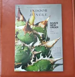 INDOOR JUNGLE インドアジャングル No.4 アガベニューオーダー