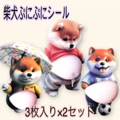 【柴犬ぷにぷにシール】2セット 6枚　柴犬　ステッカー　ぷくぷく　3Dスクイーズ