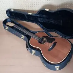 Vincent VN-30Blues ハードケース付 Fishman後付け 2025年最新】k.yairi vincentの人気アイテム - メルカリ