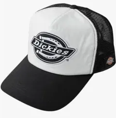 Item thumbnail for item c9249e3c-f290-4067-a54a-0a10b206ba8e