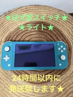 Nintendo Switch Lite ターコイズ　本体のみ　箱無し