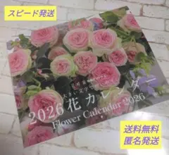 Item thumbnail for item 97859e37-2807-40cd-8e0f-06ec9af1217f