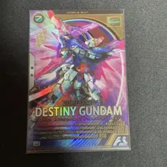 ホーリー様 リクエスト 2点 まとめ商品