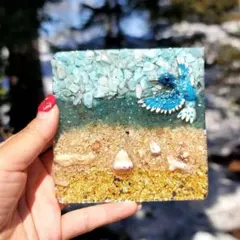 うさねこ様★先行予約