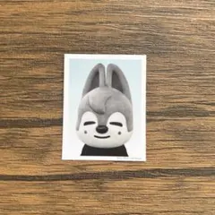 SKZ TOYWORLD 完全生産限定盤 封入 ID フォト Wolfchan