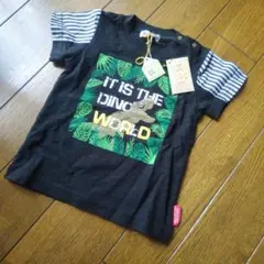 ラグマート　カメレオンTシャツ