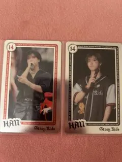 ランダムライブフォトカード　ハン