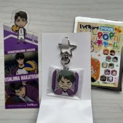 ハイキュー!! 牛島若利 おまとめセット