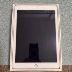 iPad Air Model A1567