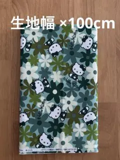 Item thumbnail for item 09b71255-0915-4463-91f5-e001da91504c