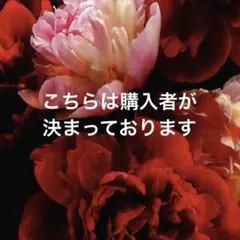 Snow Man 岩本照 アクリルスタンド ５点/カード　まとめ売り