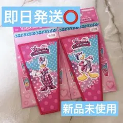 パルパルーザ ミニーのファンダーランド ドナルド デイジー ワッペンアクセサリー