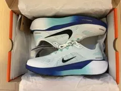 【新品未使用】NIKE ナイキ AIR ZOOM ペガサス41 26cmのサムネイル