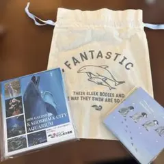 Item thumbnail for item 00d03e7a-cde8-442c-98fd-d0a5cd53c3a9