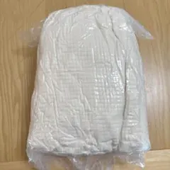 Item thumbnail for item 55889b2f-cc60-41a9-bd28-334801df9a1f