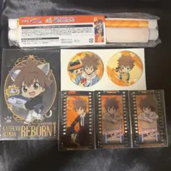 家庭教師ヒットマンREBORN! リボーン 沢田綱吉