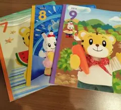 こどもちゃれんじぽけっと　2018年7.8.9
