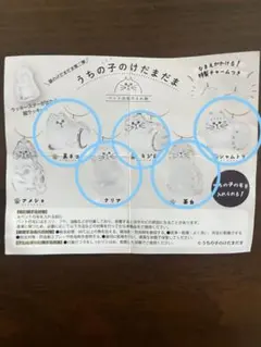うちの子のけだまだま第二弾ガチャ