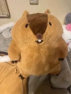 ニトリ ハリネズミ ぬいぐるみ 抱き枕 - メルカリ
