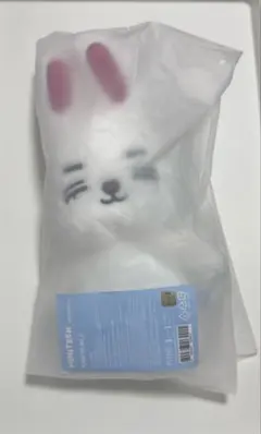 SEVENTEEN MINITEEN ミニティーン チャンダリ ぬいぐるみ - メルカリ