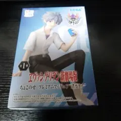 Item thumbnail for item 96d188d5-3fc5-43d4-8628-492ff11d31bb