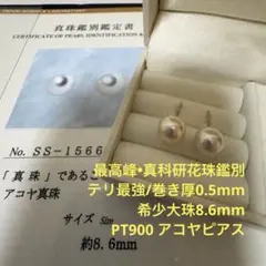 大人気 テリが強い 天女クラスアコヤ真珠 7.5-8mm ピアス PT900 - メルカリ