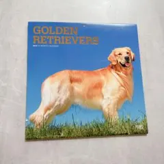 Item thumbnail for item 76b73fd5-5536-4427-9545-ee008734f9aa