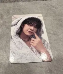 ALD1 ゴヌ　うさぎ　トレカ