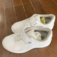 Item thumbnail for item 494a0e0b-0684-4151-8e5a-50fc67964820