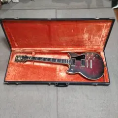 2026年最新】yamaha sg ハードケースの人気アイテム - メルカリ