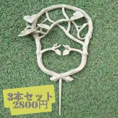 亀甲竜専用　誘引棒（3本2800円）のサムネイル