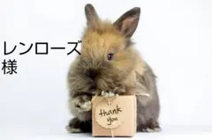 Item thumbnail for item 3bae433c-ab25-4cd8-99b4-0e0881fbfd95