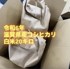 令和7年産　石川県産　 コシヒカリ約 20kg玄米(白米約18キロ) 令和7年産 石川県産 コシヒカリ約 20kg玄米(白米約18キロ) - メルカリ