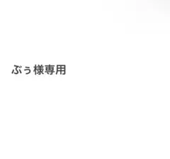 ぶう様専用