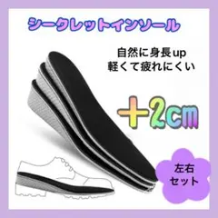 シークレット インソール 2センチ 中敷 男女兼用